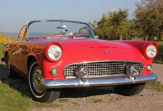 Photo 1 of 8: Ford Thunderbird | 1955 | Route 66 Auctions