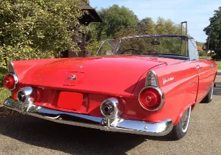 Photo 3 of 8: Ford Thunderbird | 1955 | Route 66 Auctions