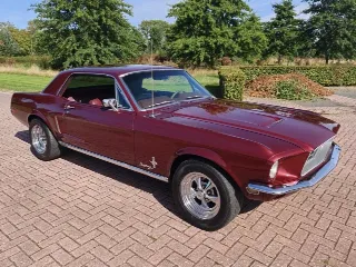 Foto 1 di 8: Ford Mustang Hardtop C-Code | 1968 | Route 66 Auctions