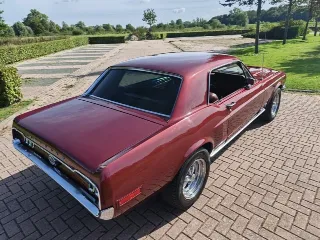 Foto 7 di 8: Ford Mustang Hardtop C-Code | 1968 | Route 66 Auctions