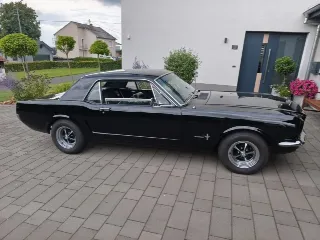 Foto 1 di 8: Ford Mustang Hardtop 289 V8 | 1965 | Route 66 Auctions