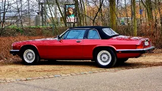 Foto 5 di 8: Jaguar XJ-SC V12 | 1986 | Route 66 Auctions