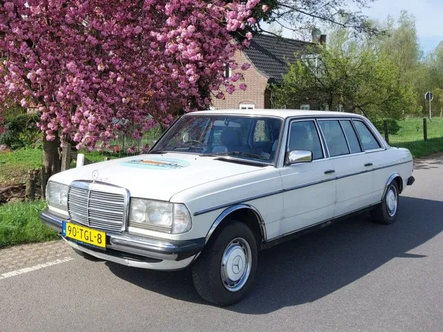 Mercedes-Benz 250 Pullman | 1984 | Route 66 Auctions