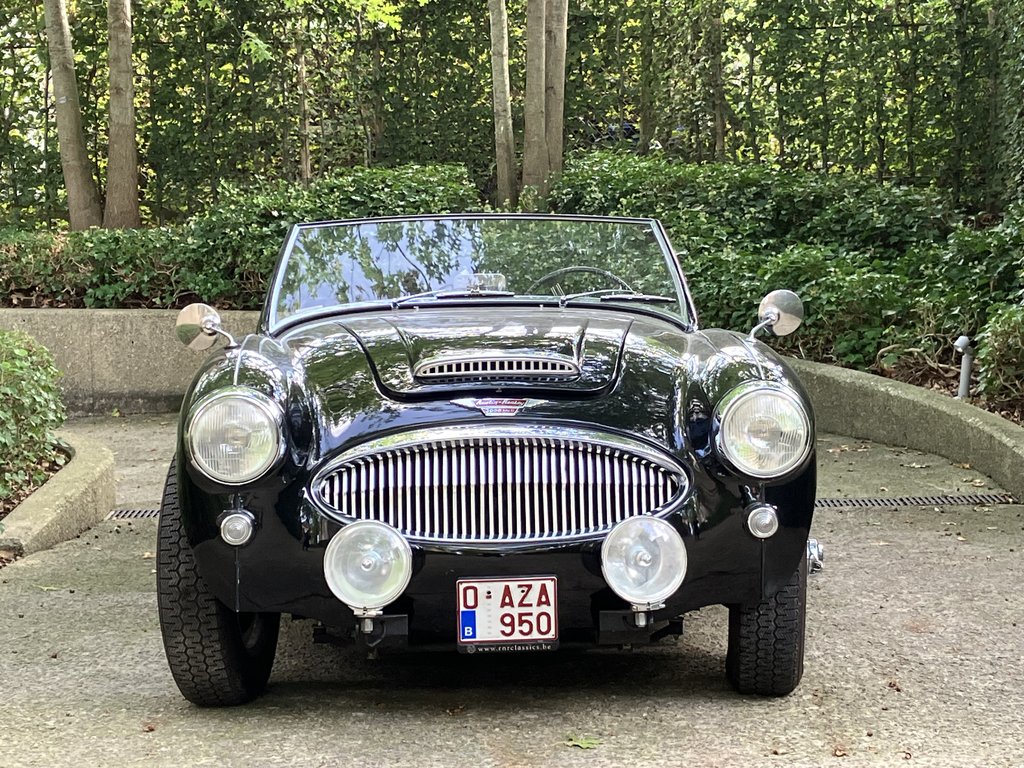 Austin-Healey 3000 Mark II BT7 | 1962 | Route 66 Auctions
