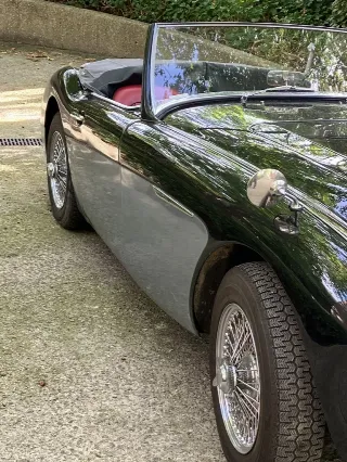 Foto 5 di 7: Austin-Healey 3000 Mark II BT7 | 1962 | Route 66 Auctions