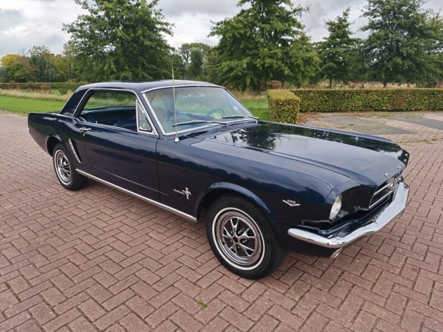 Ford Mustang Hardtop Coupé C-Code | 1965 | Route 66 Auctions