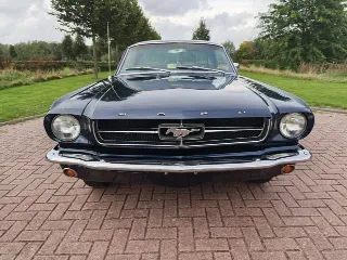 Foto 6 di 8: Ford Mustang Hardtop Coupé C-Code | 1965 | Route 66 Auctions