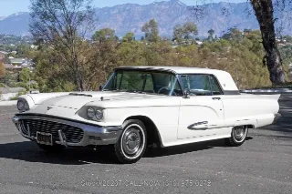Foto 12 di 24: 1959 Ford Thunderbird