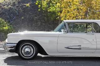 Foto 18 di 24: 1959 Ford Thunderbird