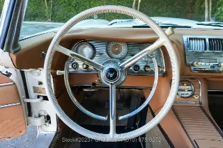 Foto 24 di 24: 1959 Ford Thunderbird