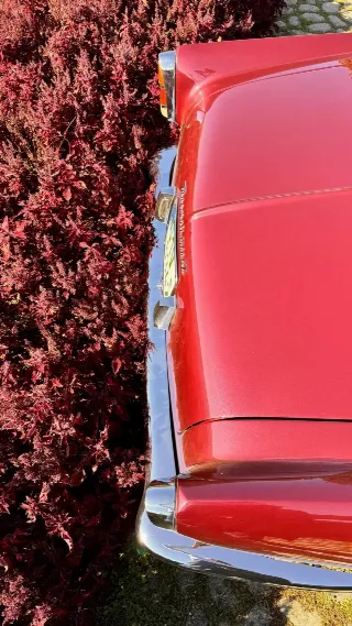 Foto 116 di 160: MASERATI 3500 GT TOURING SUPERLEGGERA 1959