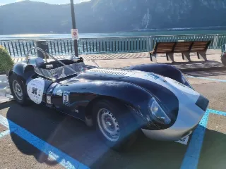 Foto 205 di 236: LISTER JAGUAR KNOBBLY 1958