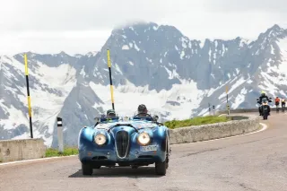 Foto 101 di 269: JAGUAR XK120 ots 1952-1000 MIGLIA ELIGIBLE