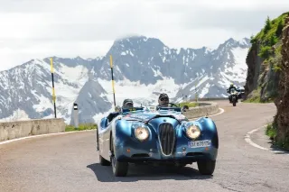 Foto 102 di 269: JAGUAR XK120 ots 1952-1000 MIGLIA ELIGIBLE