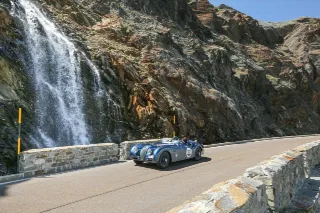 Foto 104 di 269: JAGUAR XK120 ots 1952-1000 MIGLIA ELIGIBLE