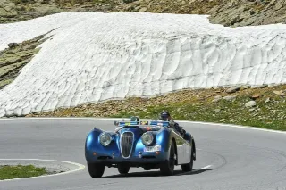 Foto 105 di 269: JAGUAR XK120 ots 1952-1000 MIGLIA ELIGIBLE