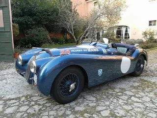 Foto 10 di 269: JAGUAR XK120 ots 1952-1000 MIGLIA ELIGIBLE