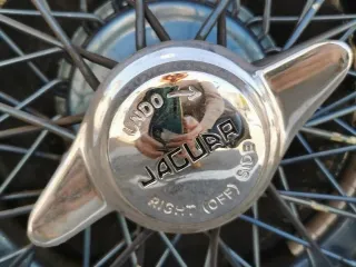 Foto 112 di 269: JAGUAR XK120 ots 1952-1000 MIGLIA ELIGIBLE