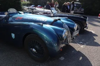 Foto 113 di 269: JAGUAR XK120 ots 1952-1000 MIGLIA ELIGIBLE