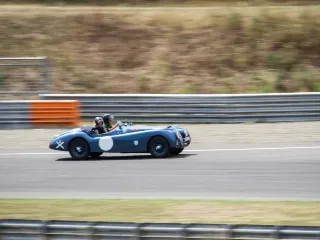 Foto 143 di 269: JAGUAR XK120 ots 1952-1000 MIGLIA ELIGIBLE