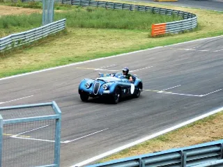 Foto 150 di 269: JAGUAR XK120 ots 1952-1000 MIGLIA ELIGIBLE