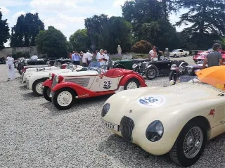 Foto 160 di 269: JAGUAR XK120 ots 1952-1000 MIGLIA ELIGIBLE