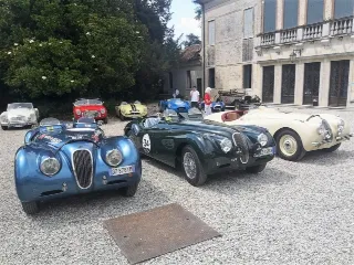 Foto 161 di 269: JAGUAR XK120 ots 1952-1000 MIGLIA ELIGIBLE