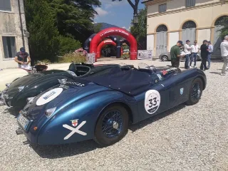 Foto 165 di 269: JAGUAR XK120 ots 1952-1000 MIGLIA ELIGIBLE