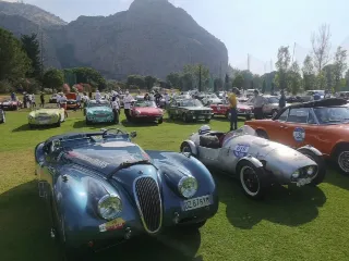 Foto 192 di 269: JAGUAR XK120 ots 1952-1000 MIGLIA ELIGIBLE