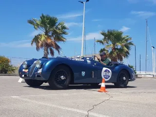 Foto 208 di 269: JAGUAR XK120 ots 1952-1000 MIGLIA ELIGIBLE