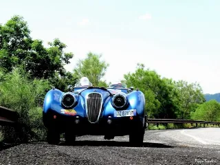 Foto 210 di 269: JAGUAR XK120 ots 1952-1000 MIGLIA ELIGIBLE