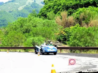 Foto 211 di 269: JAGUAR XK120 ots 1952-1000 MIGLIA ELIGIBLE