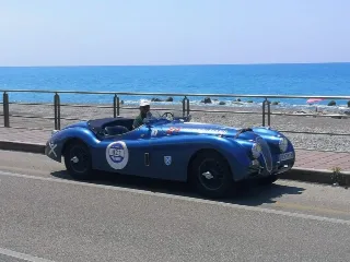 Foto 219 di 269: JAGUAR XK120 ots 1952-1000 MIGLIA ELIGIBLE