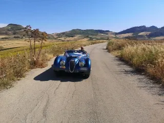 Foto 228 di 269: JAGUAR XK120 ots 1952-1000 MIGLIA ELIGIBLE
