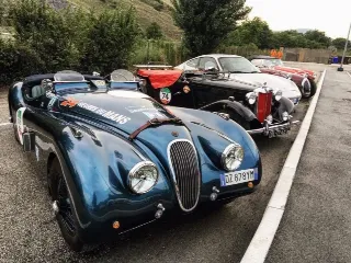 Foto 232 di 269: JAGUAR XK120 ots 1952-1000 MIGLIA ELIGIBLE