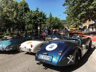 Foto 233 di 269: JAGUAR XK120 ots 1952-1000 MIGLIA ELIGIBLE