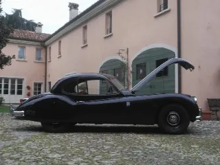 Foto 244 di 269: JAGUAR XK120 ots 1952-1000 MIGLIA ELIGIBLE