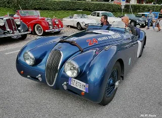 Foto 254 di 269: JAGUAR XK120 ots 1952-1000 MIGLIA ELIGIBLE