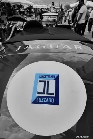 Foto 258 di 269: JAGUAR XK120 ots 1952-1000 MIGLIA ELIGIBLE
