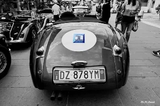 Foto 259 di 269: JAGUAR XK120 ots 1952-1000 MIGLIA ELIGIBLE