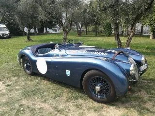 Foto 260 di 269: JAGUAR XK120 ots 1952-1000 MIGLIA ELIGIBLE