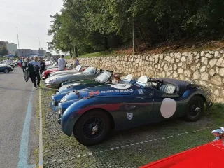 Foto 261 di 269: JAGUAR XK120 ots 1952-1000 MIGLIA ELIGIBLE