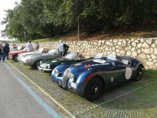 Foto 262 di 269: JAGUAR XK120 ots 1952-1000 MIGLIA ELIGIBLE
