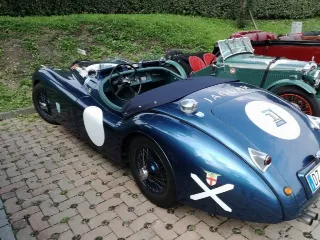 Foto 264 di 269: JAGUAR XK120 ots 1952-1000 MIGLIA ELIGIBLE