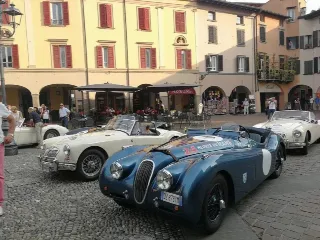 Foto 265 di 269: JAGUAR XK120 ots 1952-1000 MIGLIA ELIGIBLE
