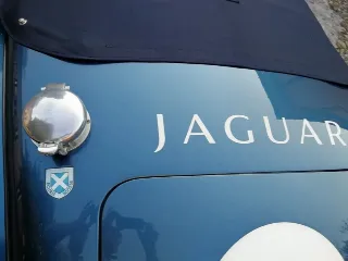 Foto 28 di 269: JAGUAR XK120 ots 1952-1000 MIGLIA ELIGIBLE