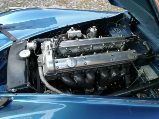 Foto 32 di 269: JAGUAR XK120 ots 1952-1000 MIGLIA ELIGIBLE