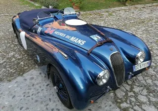 Foto 35 di 269: JAGUAR XK120 ots 1952-1000 MIGLIA ELIGIBLE