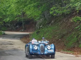Foto 37 di 269: JAGUAR XK120 ots 1952-1000 MIGLIA ELIGIBLE