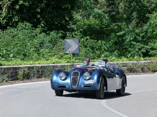 Foto 49 di 269: JAGUAR XK120 ots 1952-1000 MIGLIA ELIGIBLE